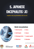 Japanese Encephalitis (JE) - infografik 5